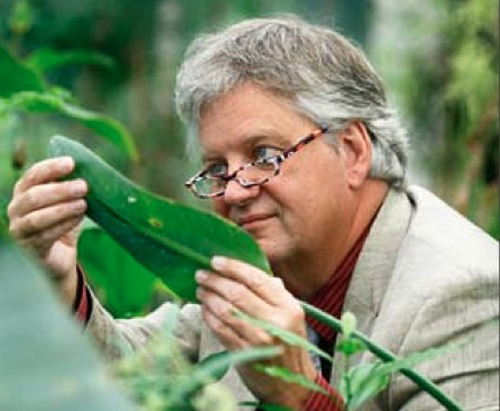 Natuur geïnspireerde innovatie